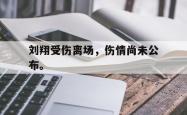爱游戏(中国)-刘翔受伤离场，伤情尚未公布。