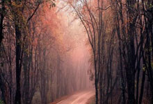 爱游戏(中国)-科维托娃官方宣布败北新规，巴塞罗那引发争议！